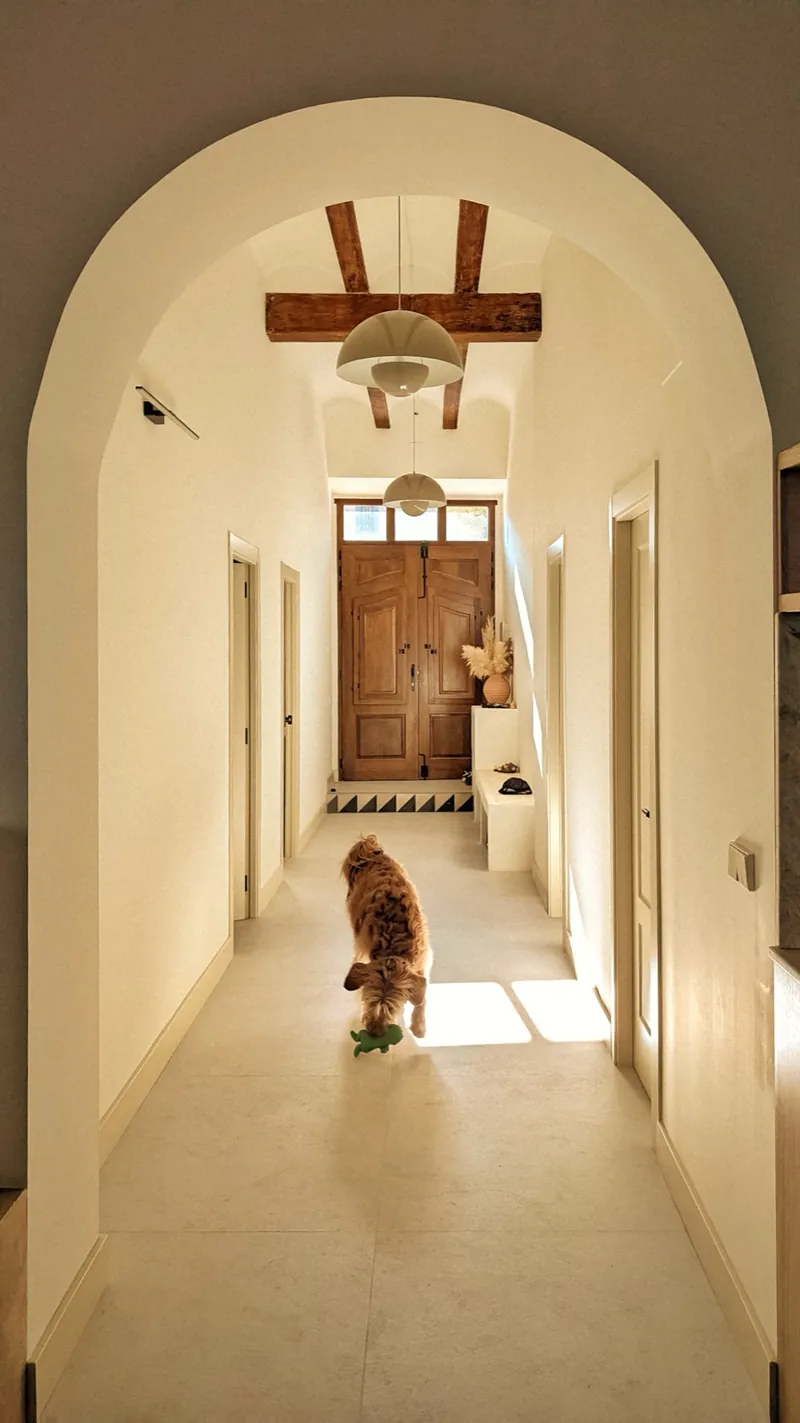 Vaulted hallway with timber beams and a scruffy dog carrying a toy towards the front door